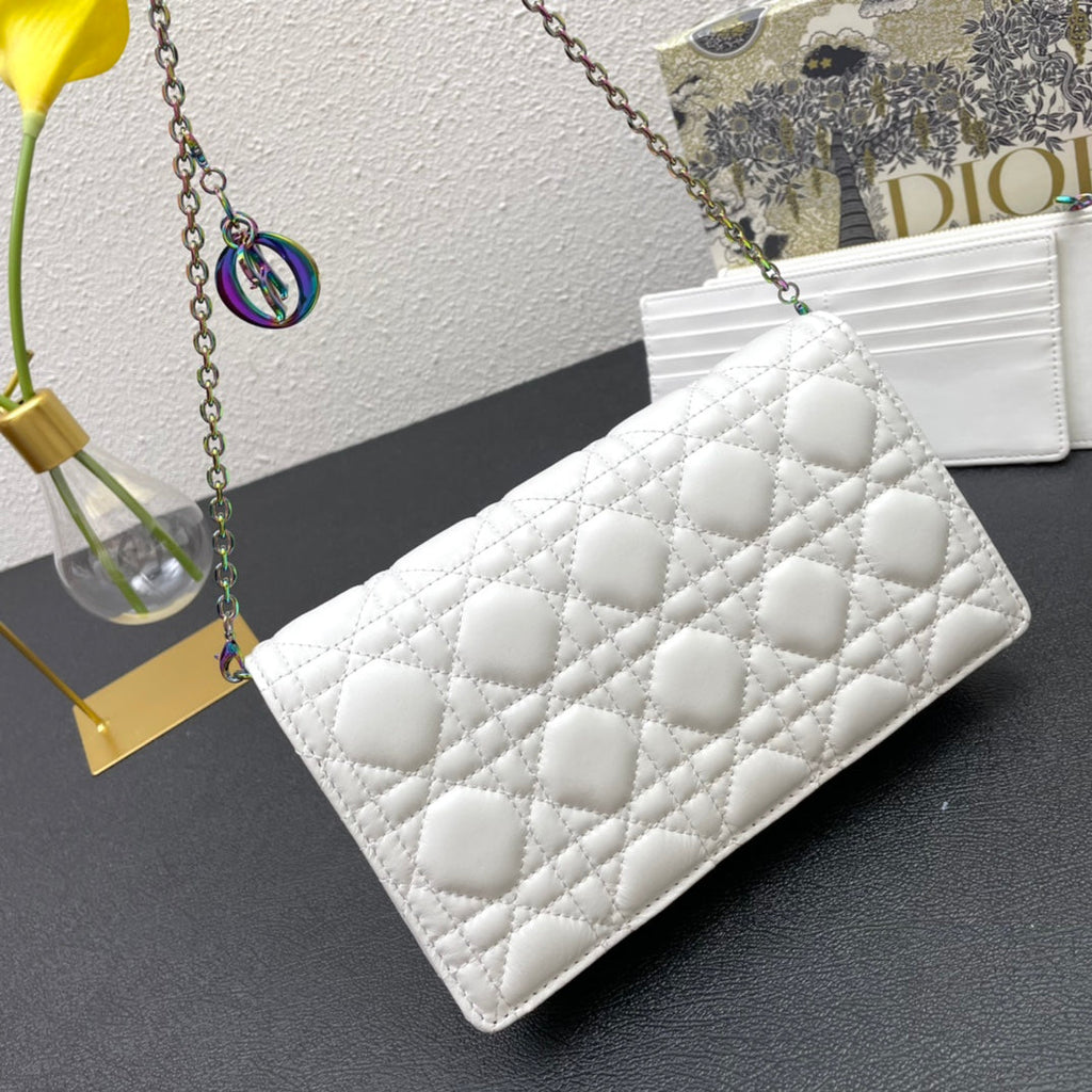 CARO SLIM POUCH 21 BAG IN WHITE CALFSKIN