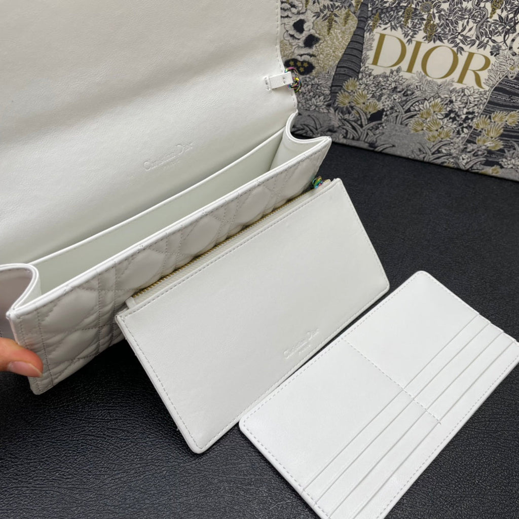 CARO SLIM POUCH 21 BAG IN WHITE CALFSKIN