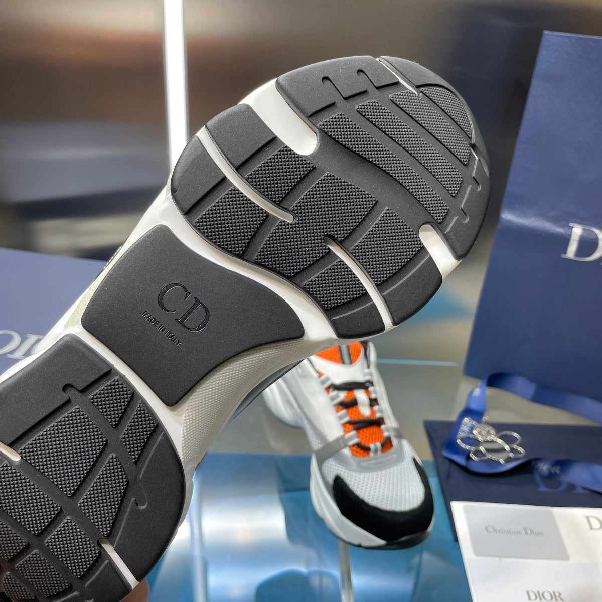 Dior b22