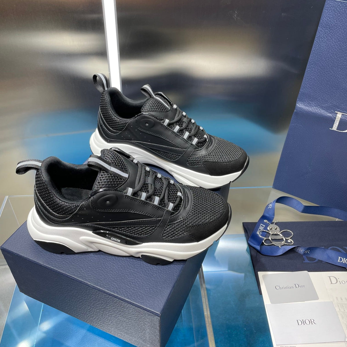 Dior b22