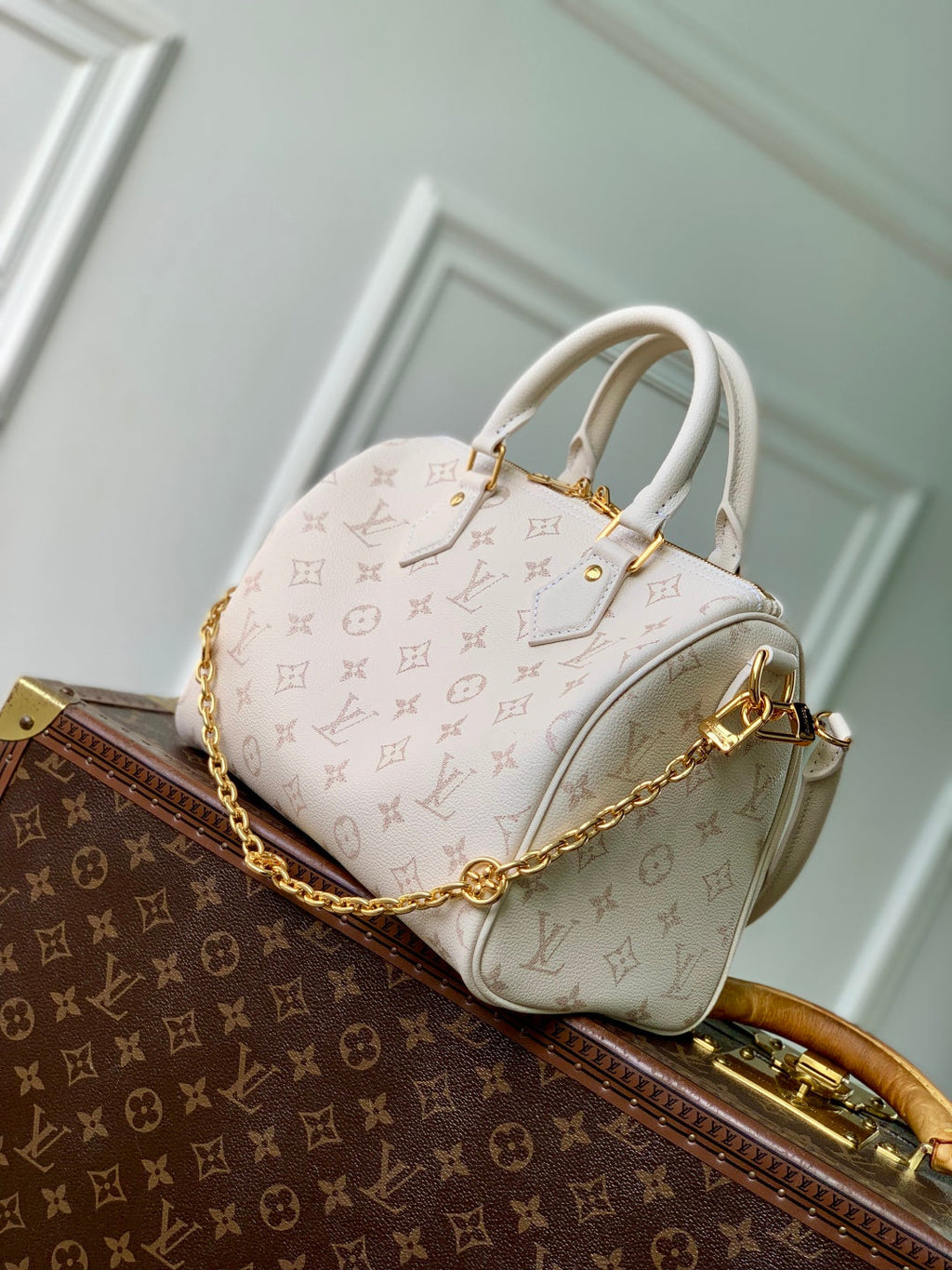 LV 2025 Speedy Bandoulière 25 White Calfskin 347096