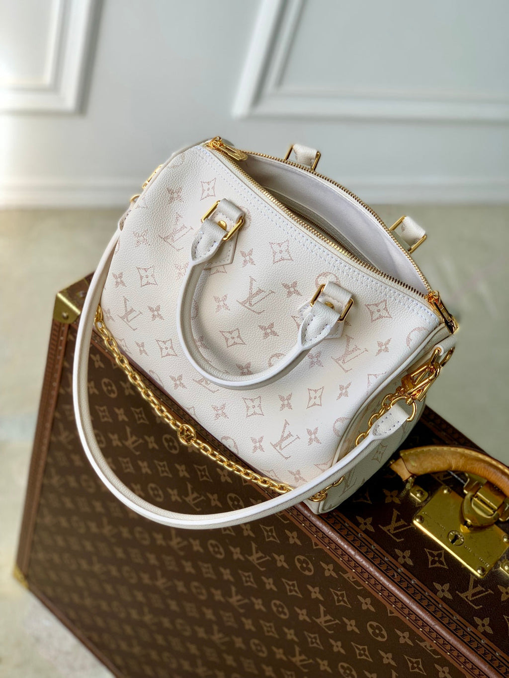 LV 2025 Speedy Bandoulière 25 White Calfskin 347096