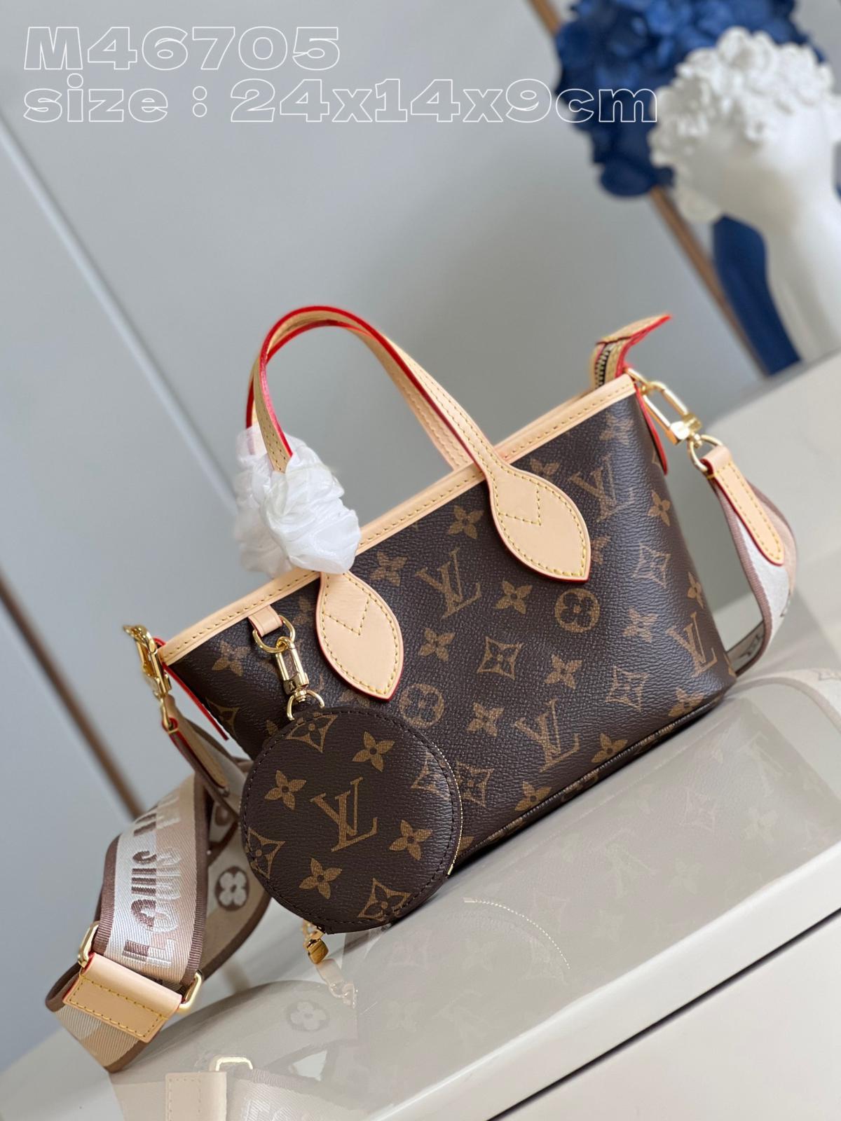 Borsa Louis Vuitton