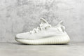 Yeezy 350 v2 24