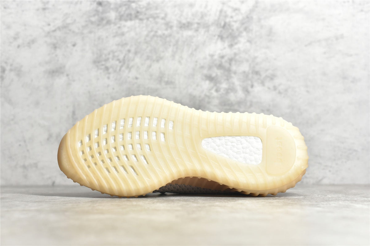 Yeezy 350 v2 22