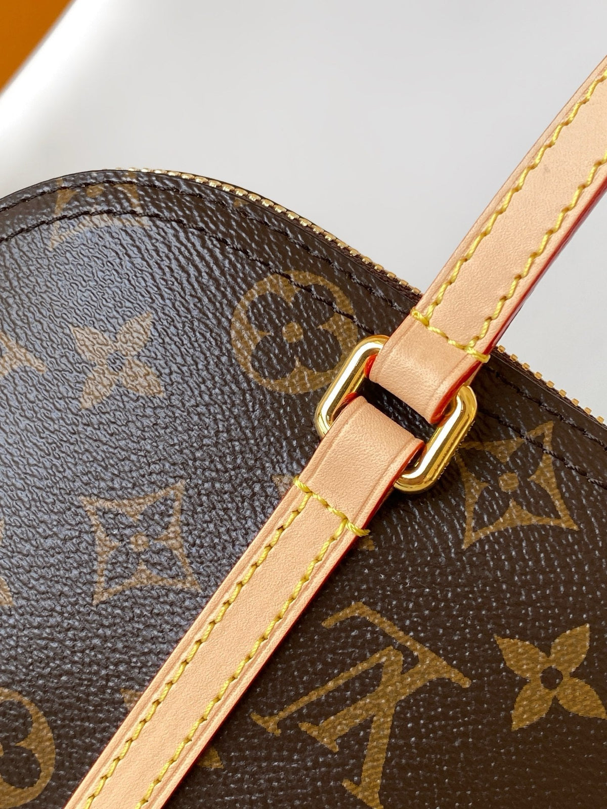 LV Hang On Bag Brown Monogram Coated Canvas &Cowhide