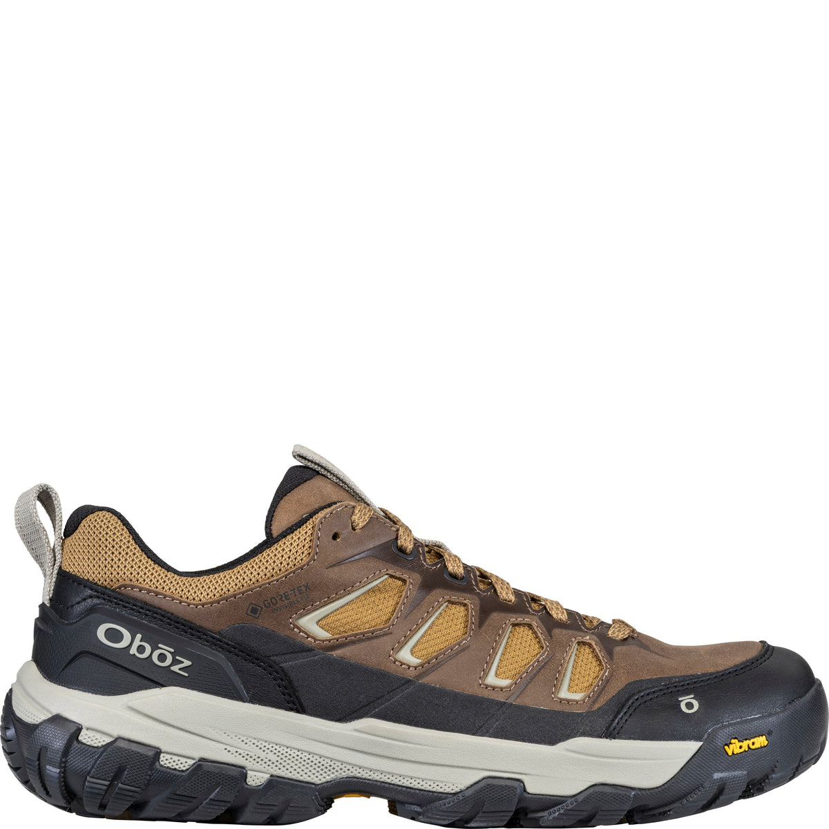 Oboz Men's Sawtooth X Pro Low GTX