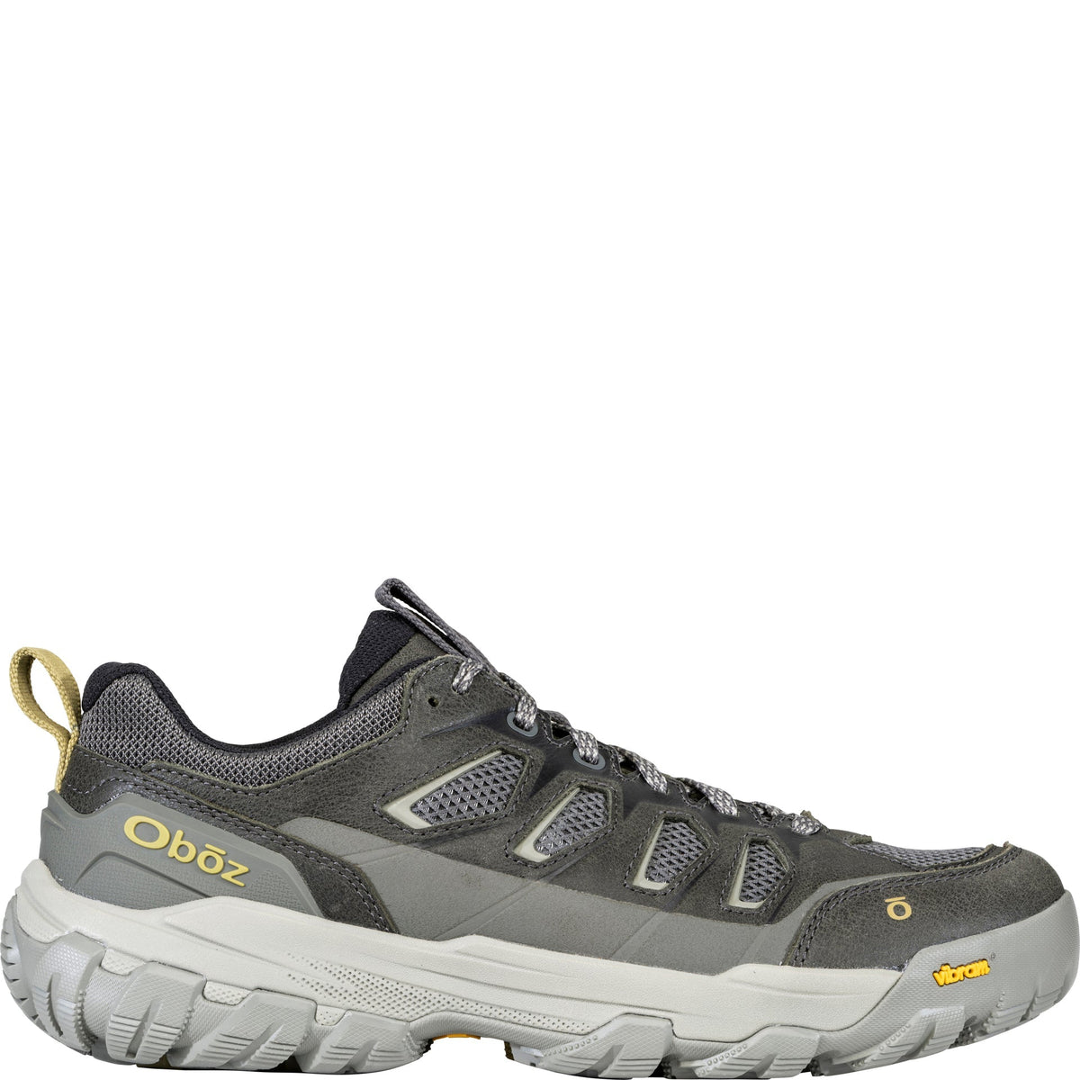 Oboz Men's Sawtooth X Pro Low Vent