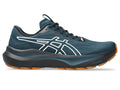 Asics Men's 2000v14 Trail