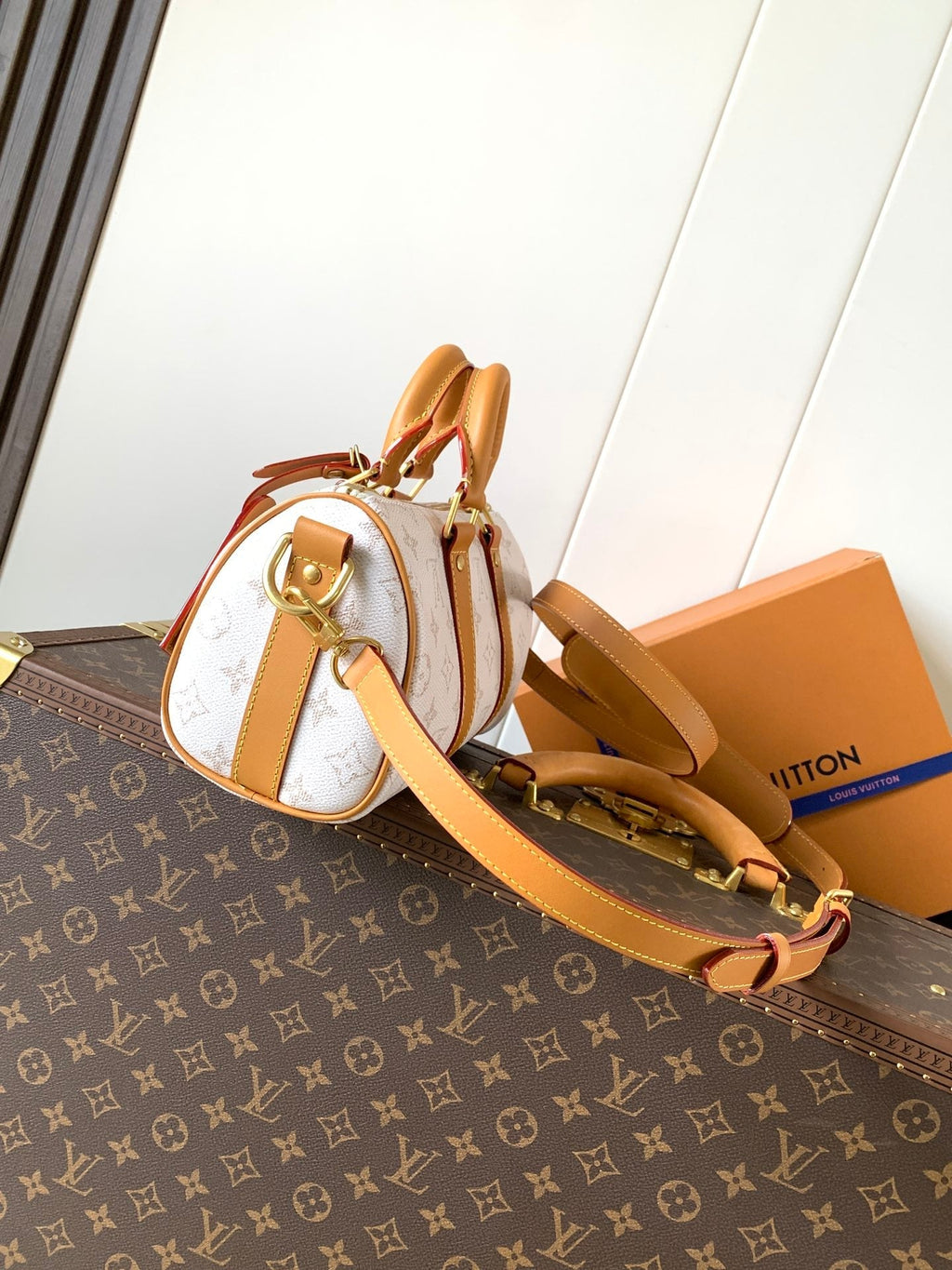 LV Keepall 25 Bandoulière Handbag White in Monogram coated Canvas 287218