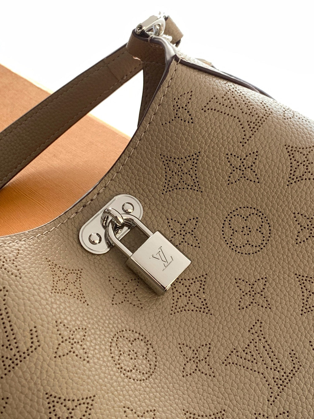 LV All Around PM Bag 25cm Taupe in Calfskin 287037